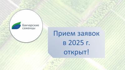 Старт приема заявок на 2025 год