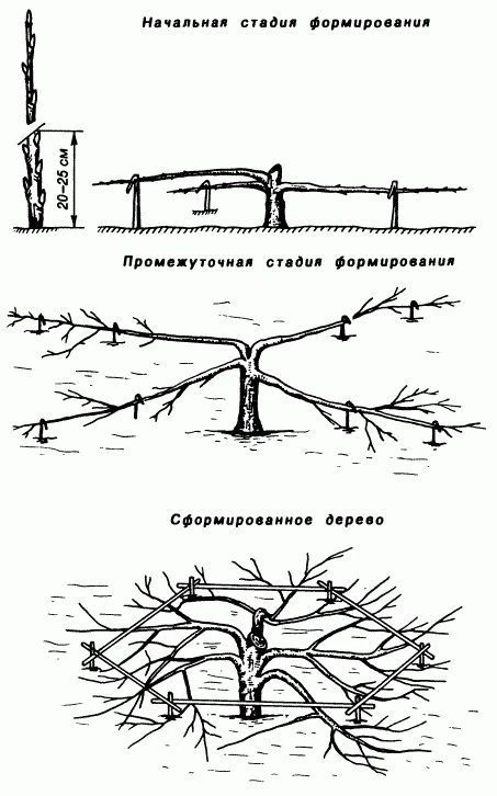 IMG_20260110_202645.png